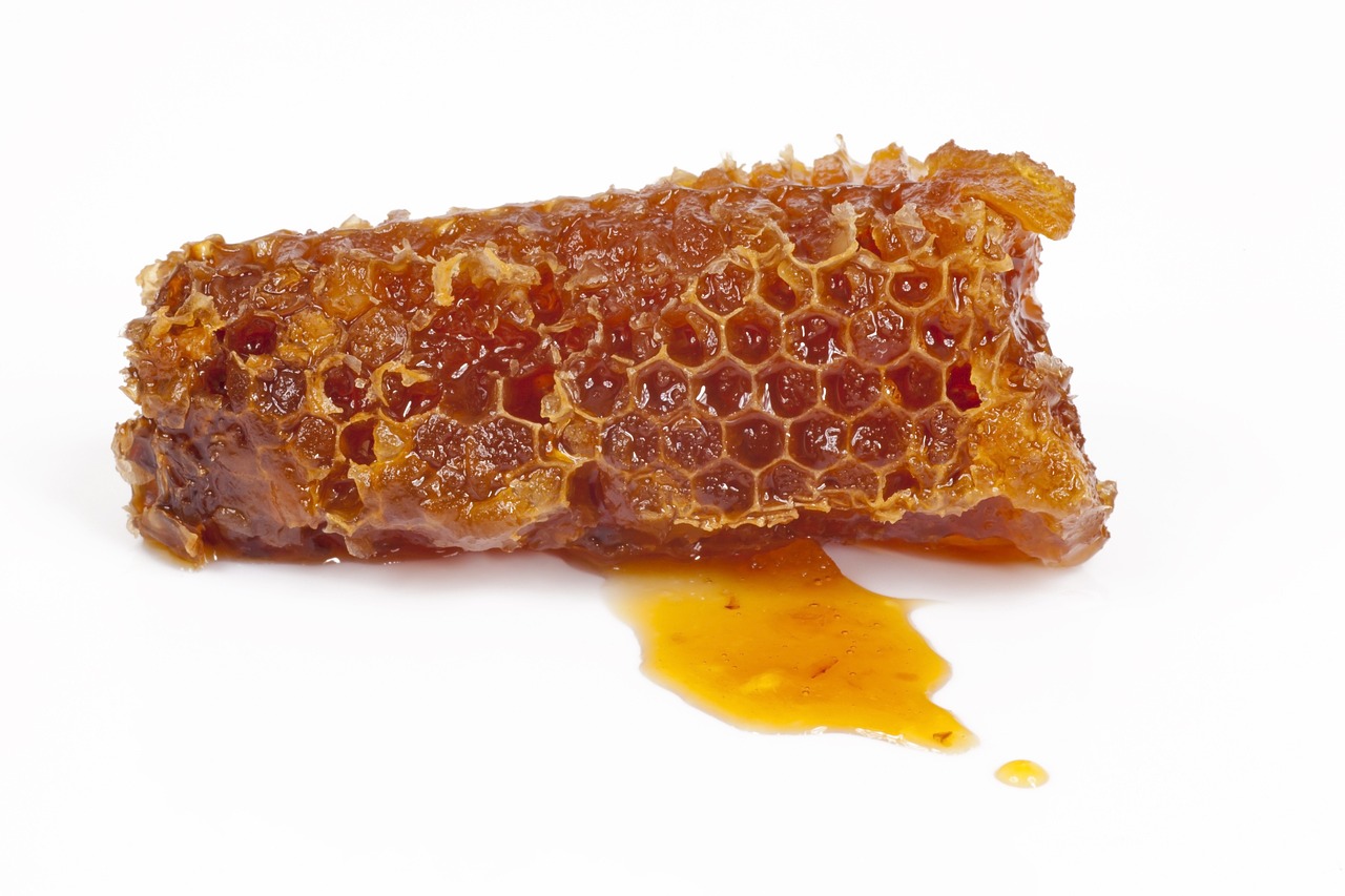 Read more about the article Honey Is Not the Only Superfood From Bees